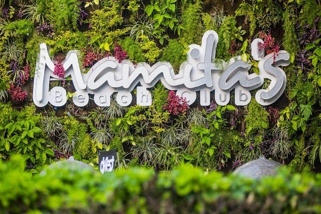 Mamita's Beach Club